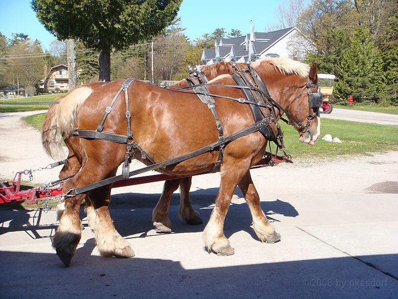 057 Memorial Day [2008 May 23].JPG - Scenes from Mackinac Island.